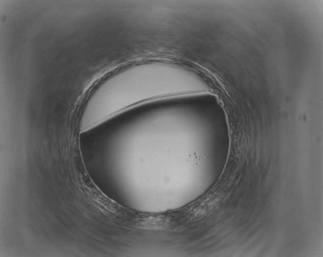 X0000085261160200703091316