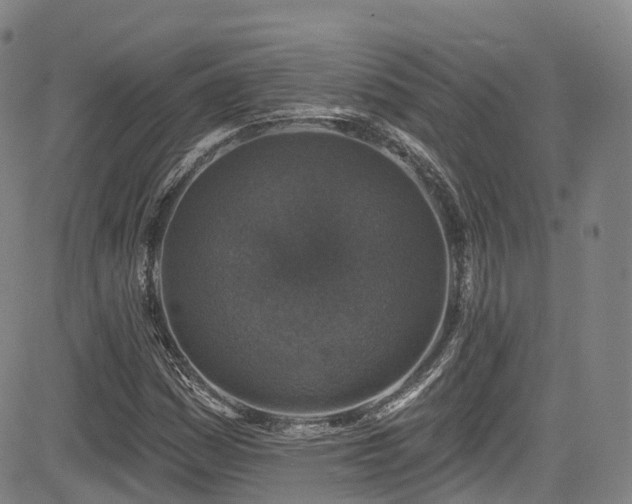 X0000085261161200703091316