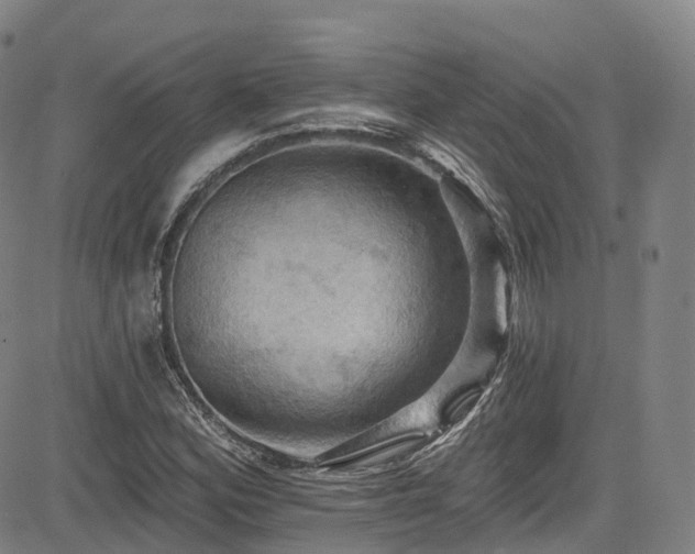 X0000085261164200703091316