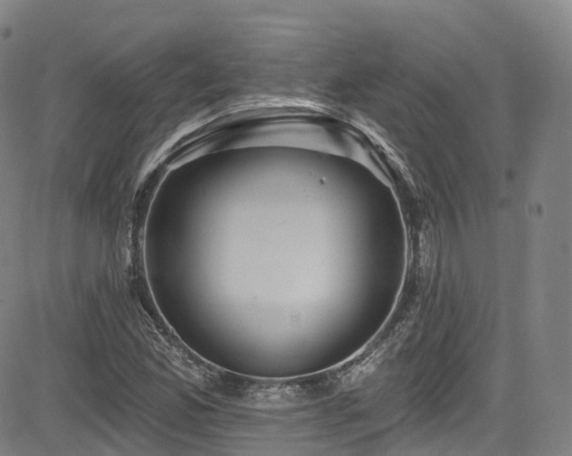 X0000085261165200703091316