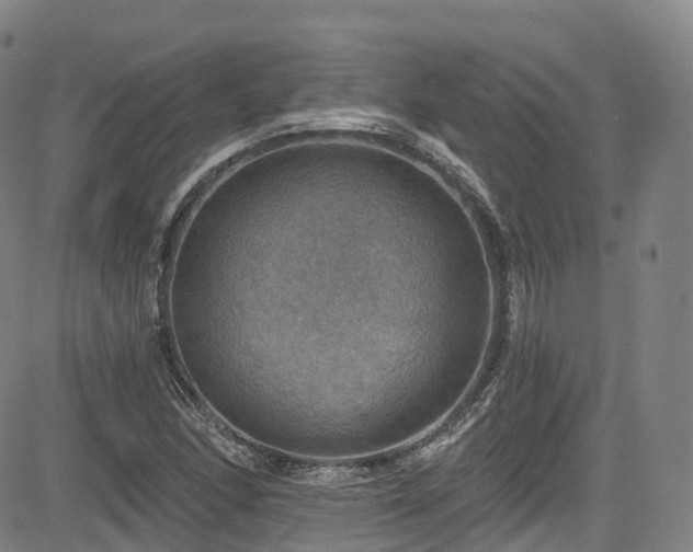 X0000085261166200703091316