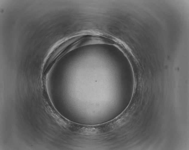 X0000085261168200703091316