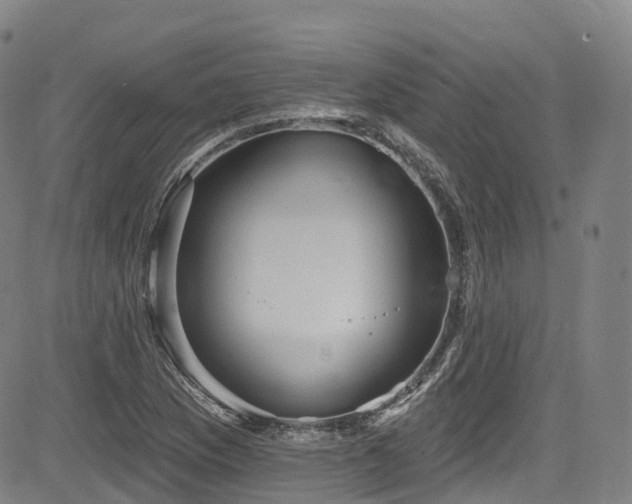 X0000085261169200703091316