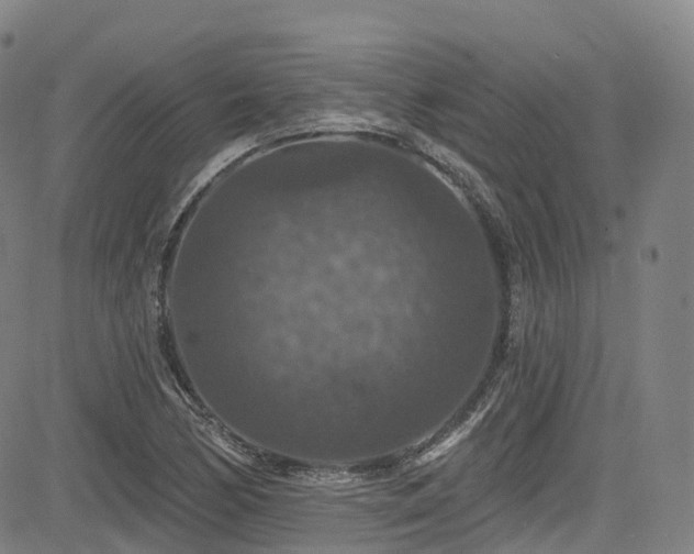 X0000085261170200703091316