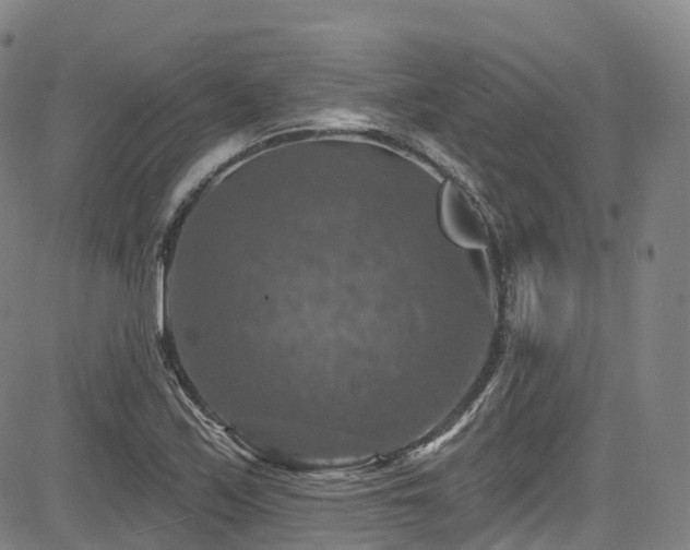 X0000085261171200703091316