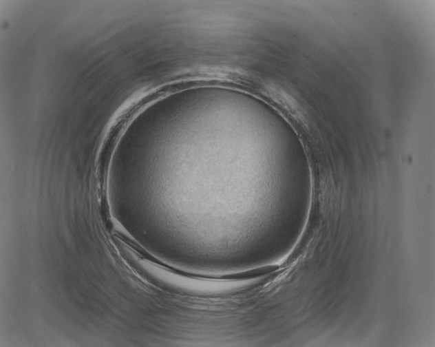 X0000085261172200703091316