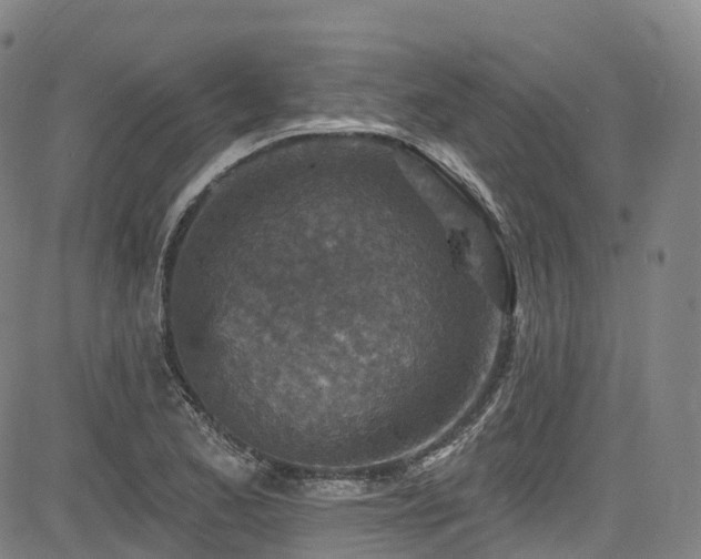 X0000085261173200703091316