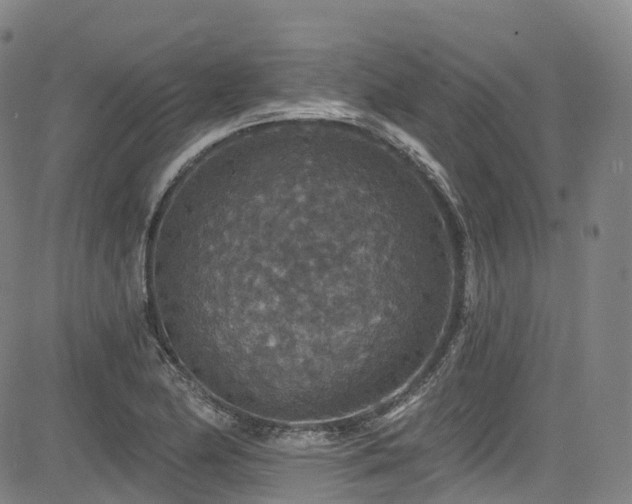 X0000085261174200703091316