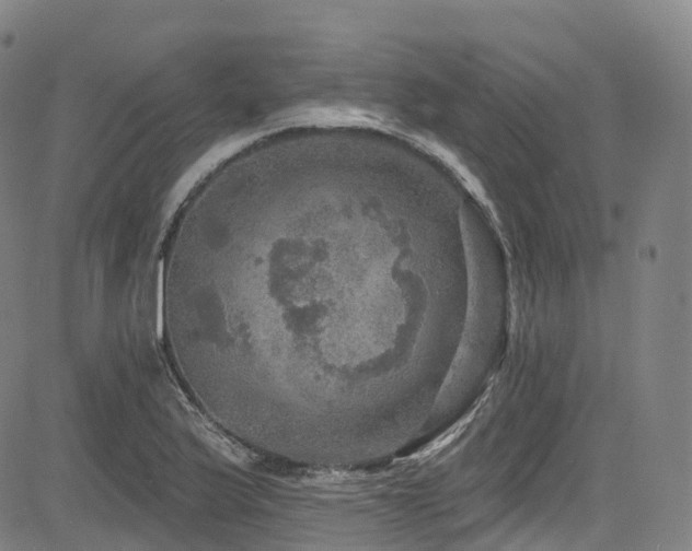 X0000085261175200703091316