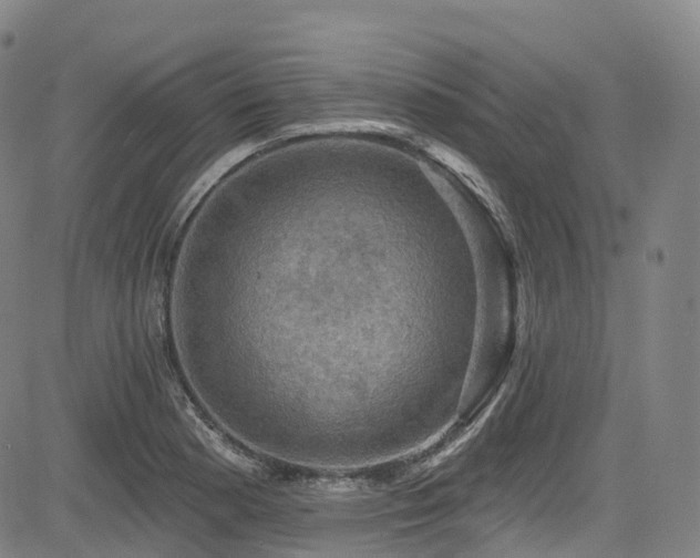 X0000085261177200703091316