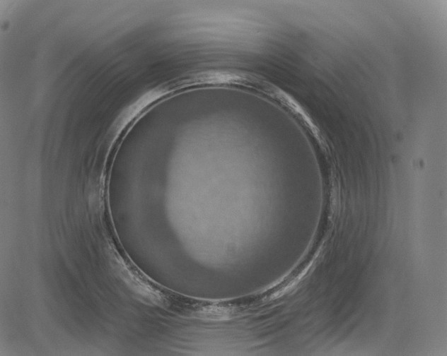 X0000085261178200703091316