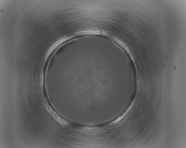 X0000085261179200703091316