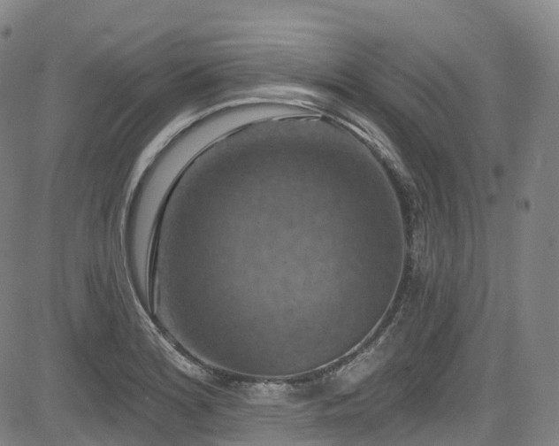 X0000085261180200703091316