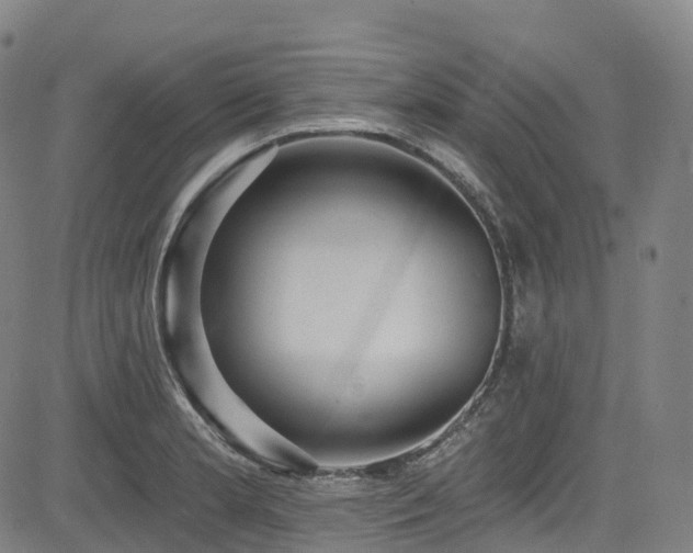 X0000085261181200703091316