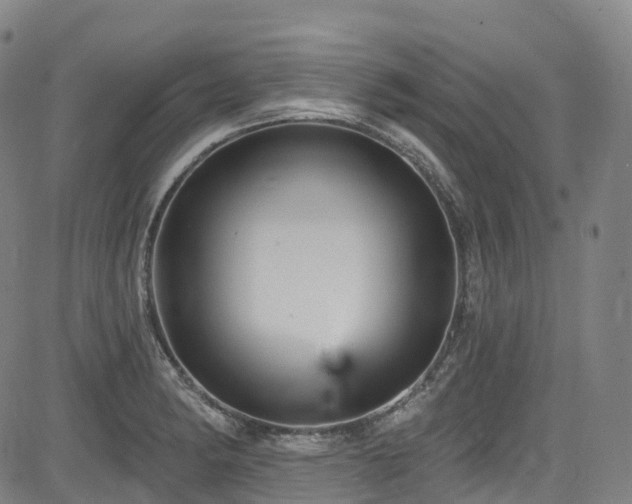 X0000085261182200703091316