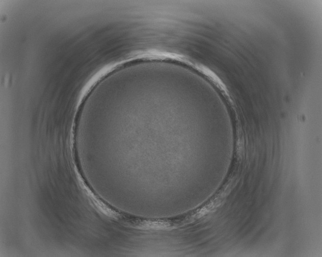 X0000085261183200703091316