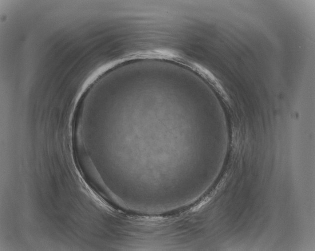 X0000085261184200703091316