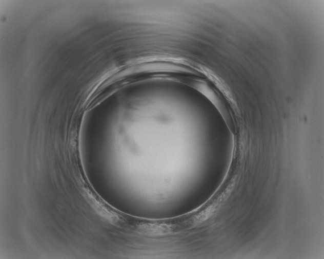 X0000085261185200703091316