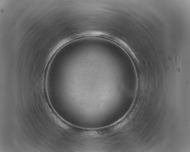 X0000085261186200703091316