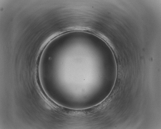 X0000085261187200703091316