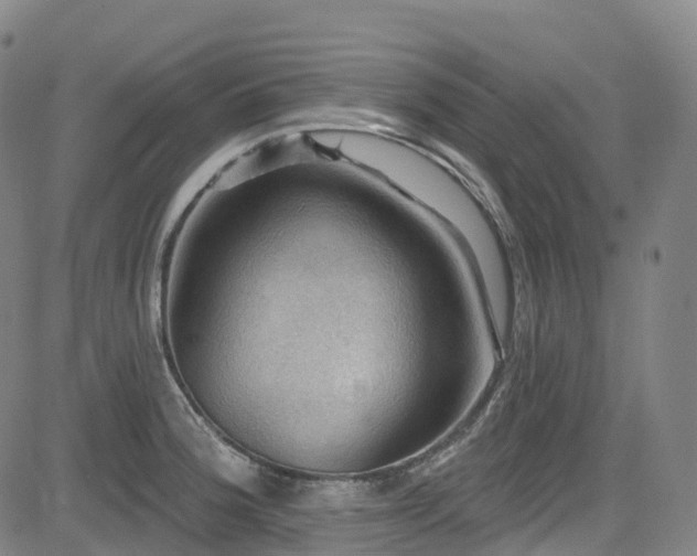 X0000085261188200703091316