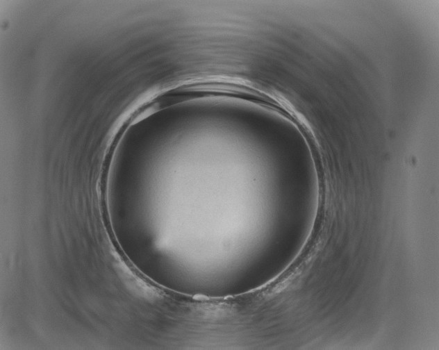 X0000085261189200703091316