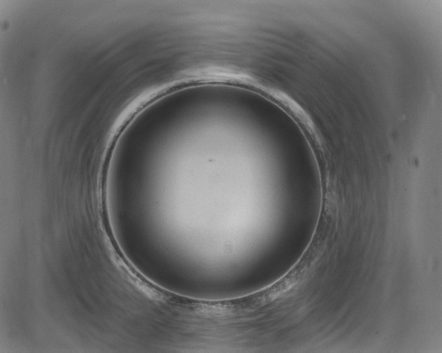 X0000085261191200703091316