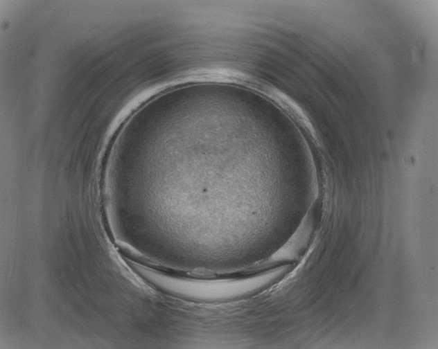 X0000085261192200703091316