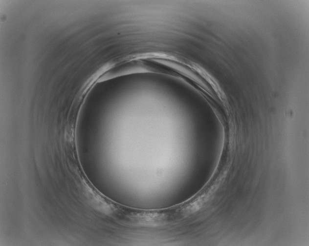 X0000085261193200703091315