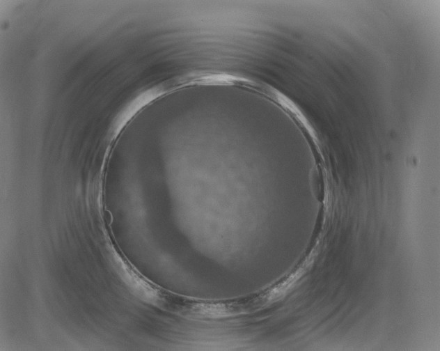 X0000085261194200703091315