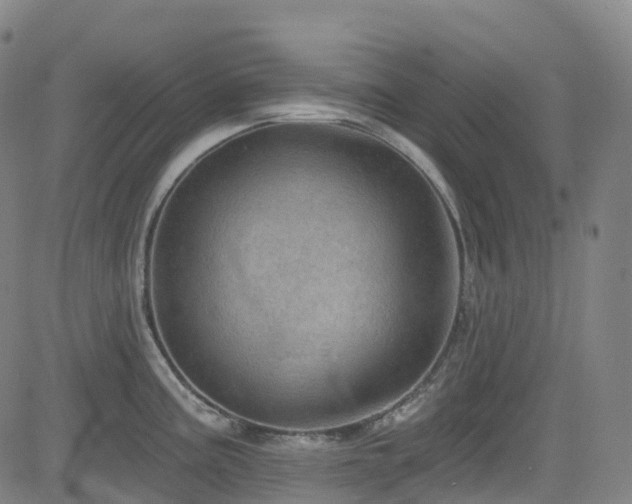 X0000085261195200703091315