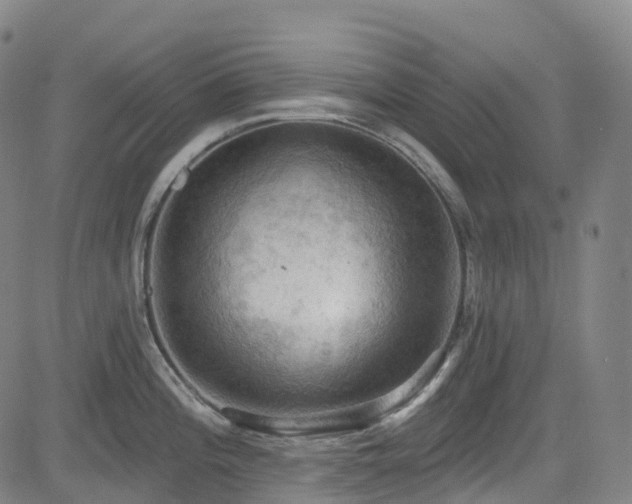 X0000085261196200703091315