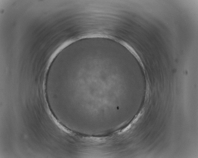 X0000085261197200703091315