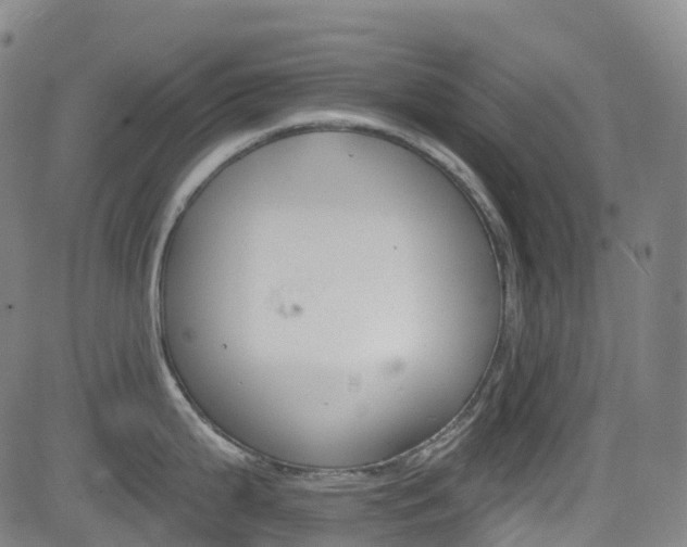 X0000085261199200703091315