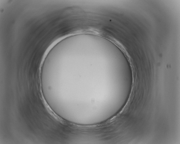 X0000085261200200703091315