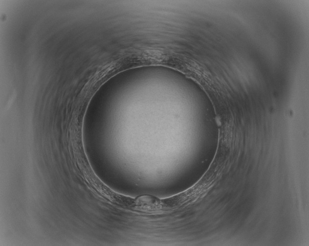 X0000085261201200703091315