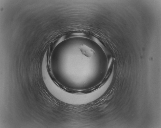 X0000085261202200703091315