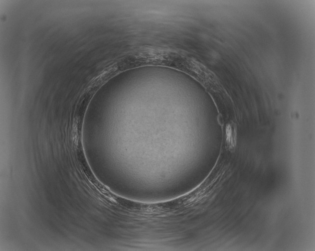 X0000085261203200703091315