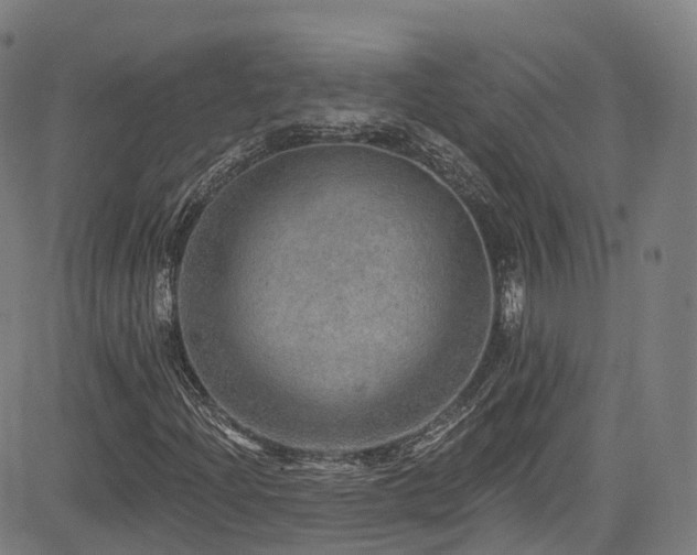 X0000085261204200703091315