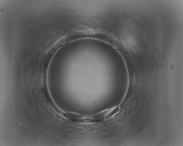 X0000085261205200703091315