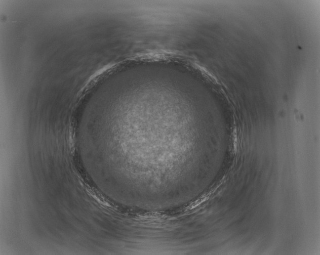 X0000085261206200703091315