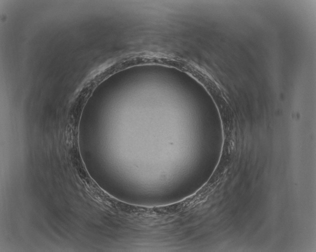 X0000085261207200703091315