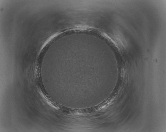 X0000085261208200703091315