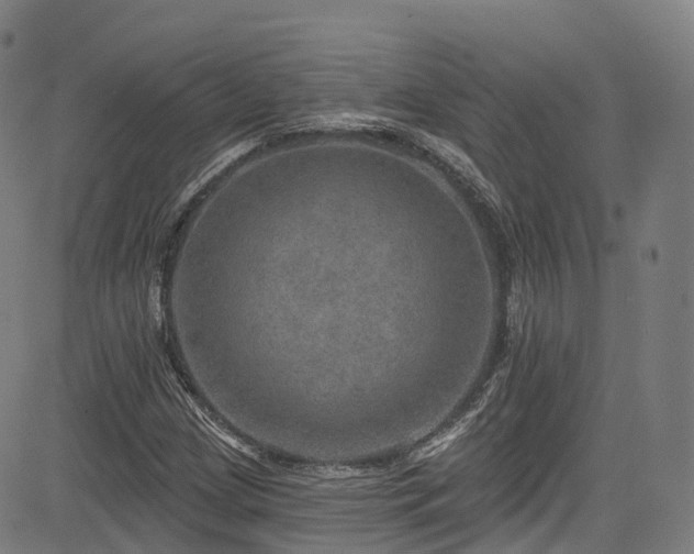 X0000085261209200703091315