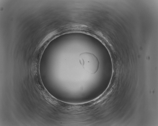 X0000085261211200703091315