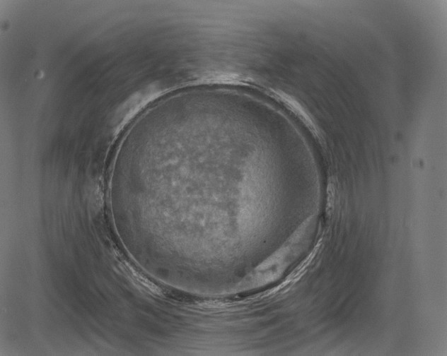 X0000085261212200703091315