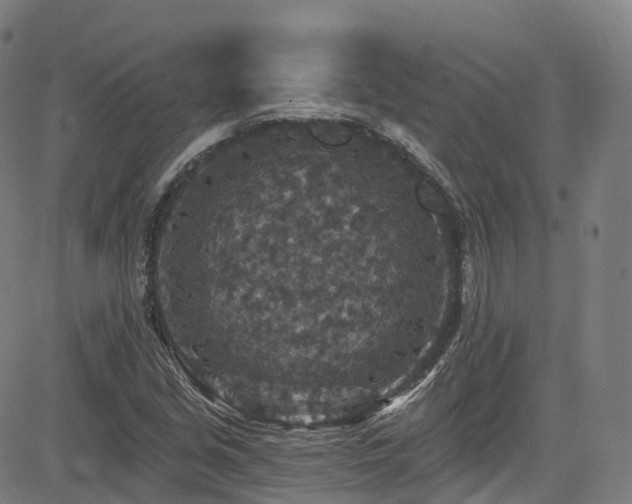 X0000085261213200703091315