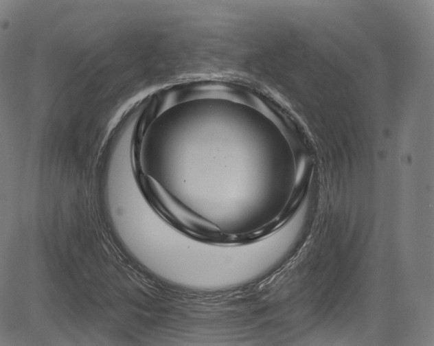 X0000085261214200703091315