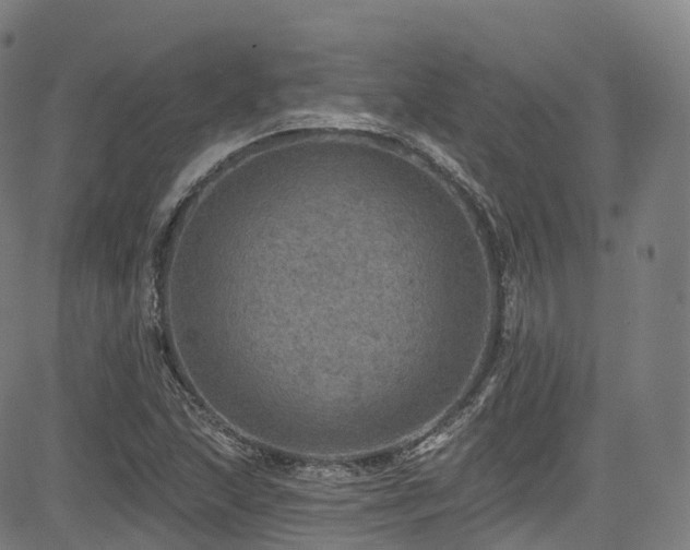 X0000085261215200703091315