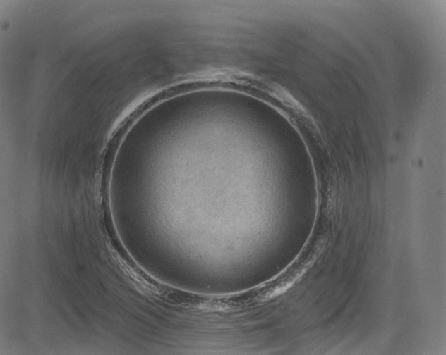 X0000085261216200703091315